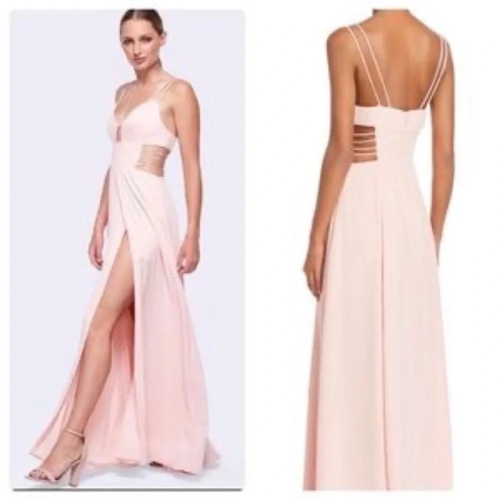 Fame & Partners Blush Dress - Picture 5 of 6